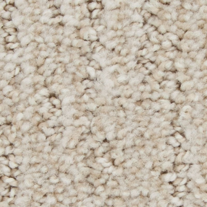 Olympic Splendor Carpet